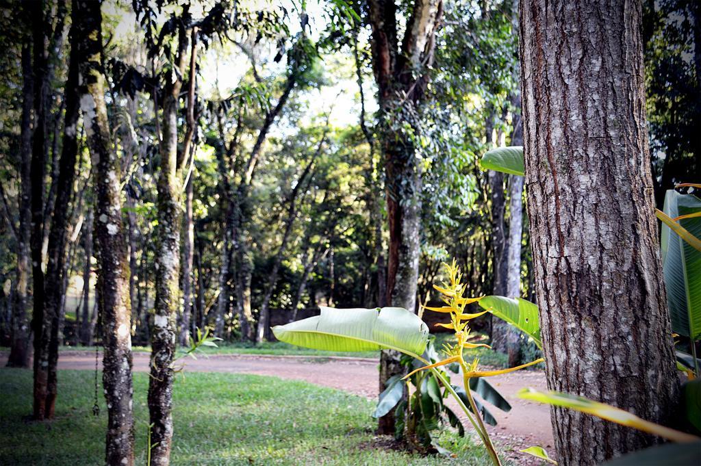 Villa Cabanas Las Termas Oberá Exterior foto
